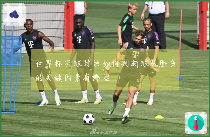 世界杯买球时该如何判断球队胜负的关键因素有哪些