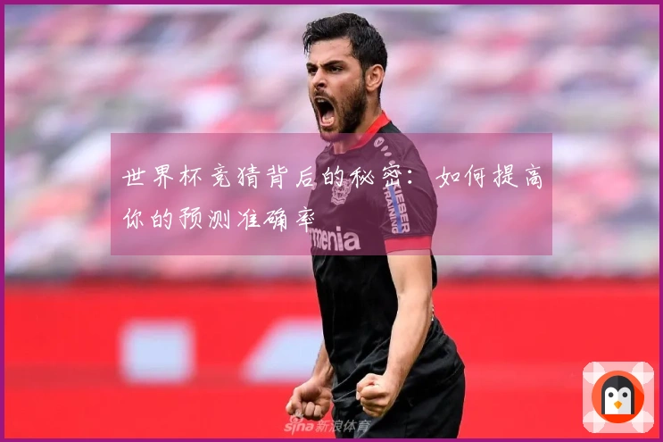 世界杯竞猜背后的秘密：如何提高你的预测准确率