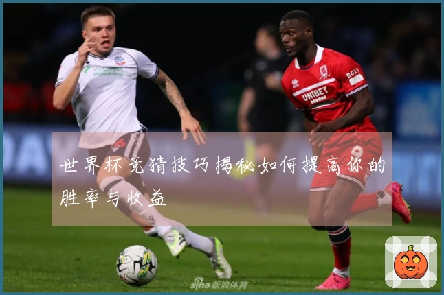 世界杯竞猜技巧揭秘如何提高你的胜率与收益