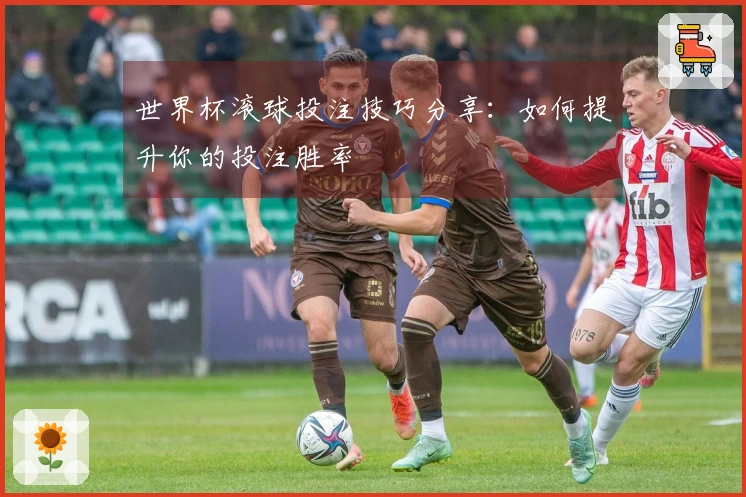 世界杯滚球投注技巧分享：如何提升你的投注胜率