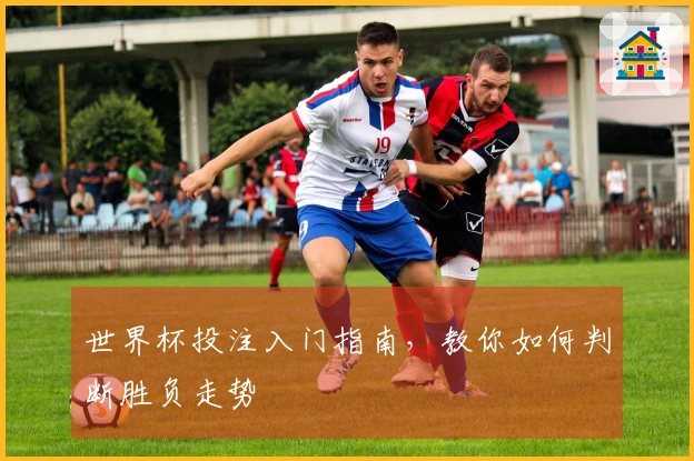 世界杯投注入门指南，教你如何判断胜负走势