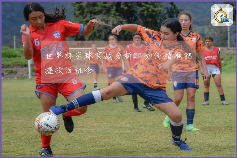 世界杯买球实战分析：如何精准把握投注机会
