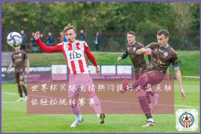 世界杯买球竞猜热门技巧大盘点助你轻松玩转赛事